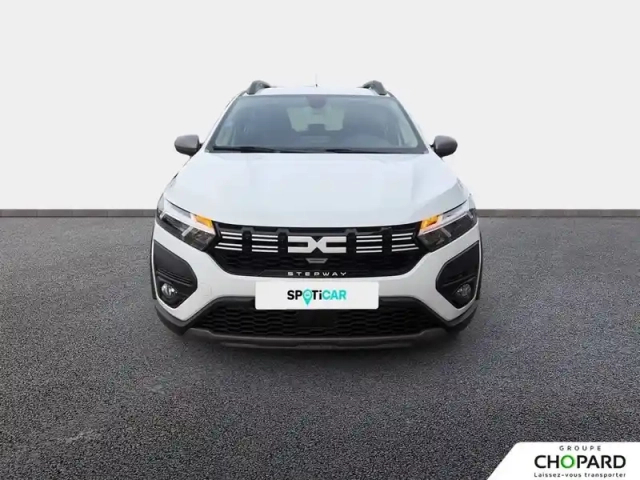 Dacia Sandero eco-g 100 — photo 54