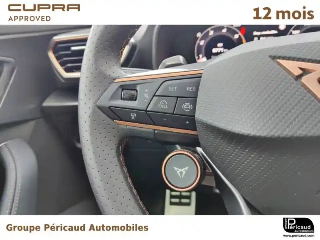Cupra Formentor 2.0 tdi 150 ch dsg7 — photo 32
