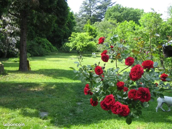 Rare Grand terrain arboré sans vis-à-vis avec petite maison