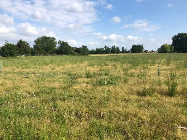 Terrain 480 m²