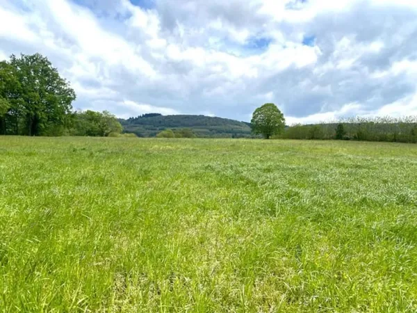 Terrain 1000 m²