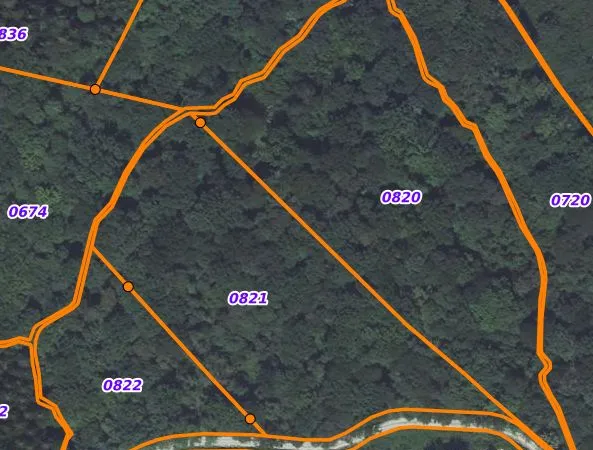 Vends forêt/bois 3 hectares