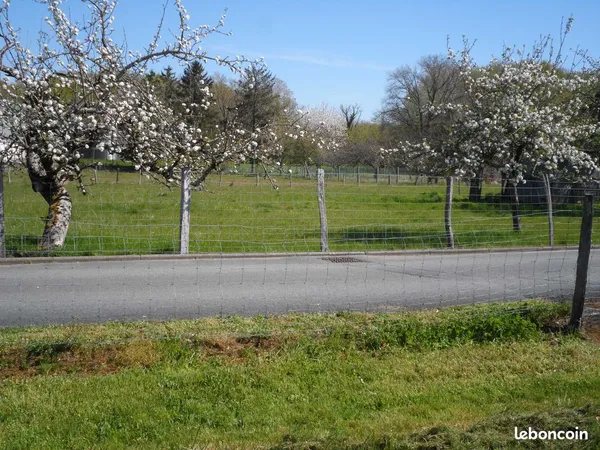Terrain constructible à vendre - Le Poinçonnet (36)