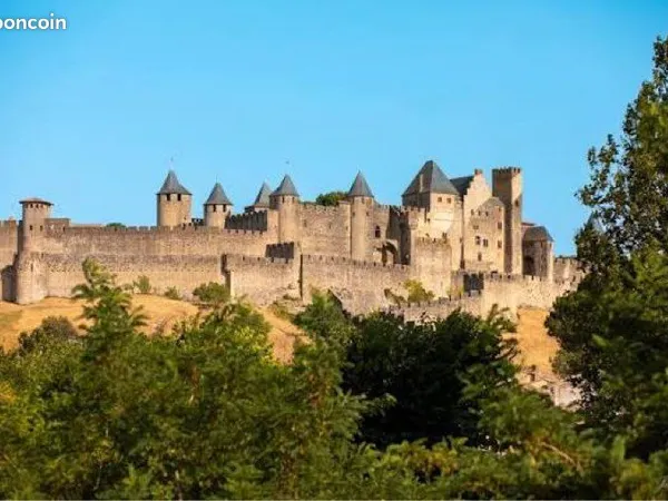 Droit au bail BOUTIQUE_Emplacement N°1 Cité de Carcassonne