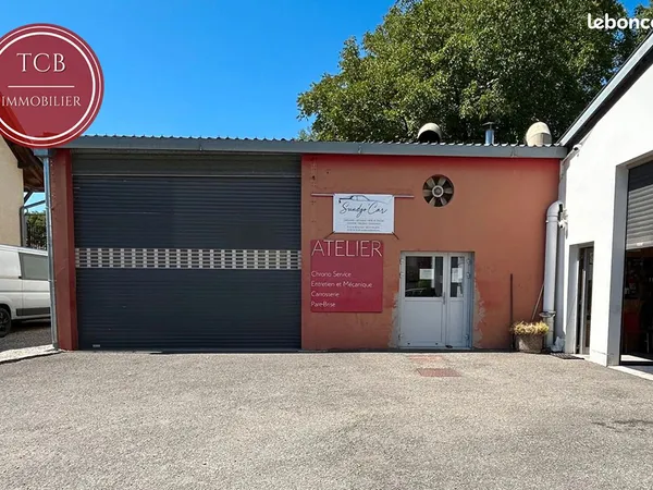 Local d'activité 4 pièces 259 m²