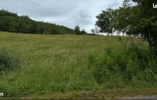 Pré à louer 48 ares - Chevaux / animaux