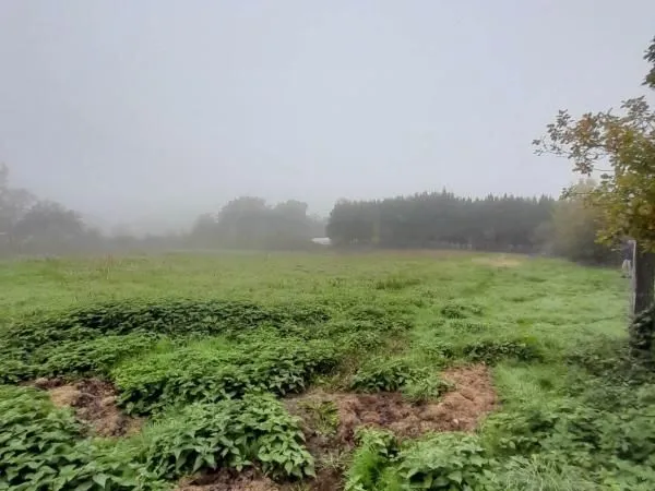 Terrain 1 200 m² Saint Christophe En Bresse