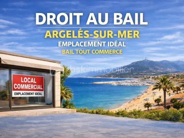 À vendre -Argeles sur mer- Local commercial 190m² - 40 000€ - Zone commerciale