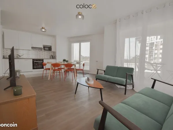Magnifique coloc avec terrasse