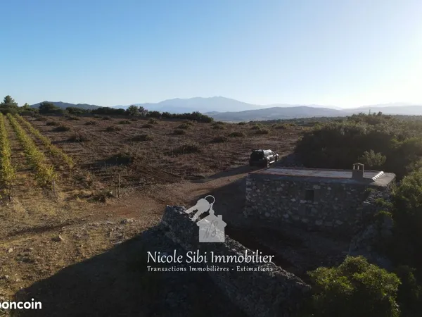 Terrain 11810 m² Tautavel