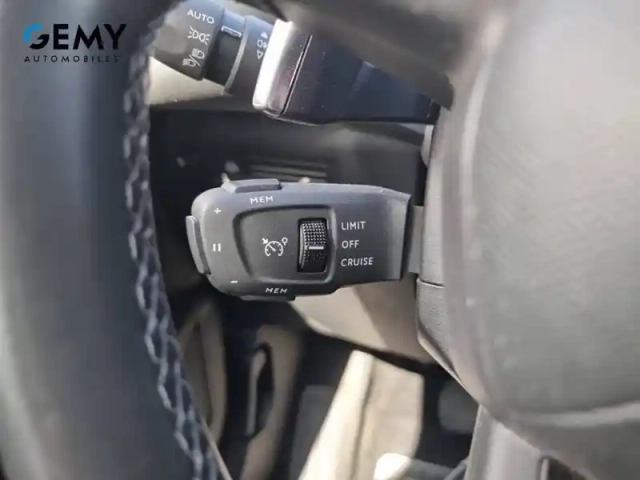 Ds Ds 3 ds3 crossback bluehdi 130 eat8 — photo 26