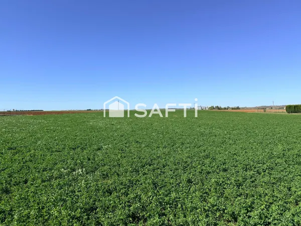 Terrain 22395 m2 avec partie constructible 6500 m2
