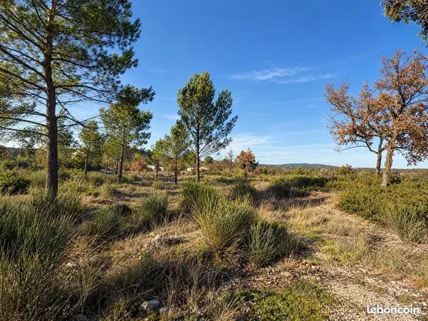 Terrain 2 400 m² Saint Maximin La Sainte Baume