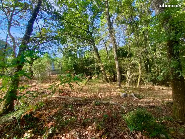 Terrain constructible de 1250 m² à 25 mn des plages