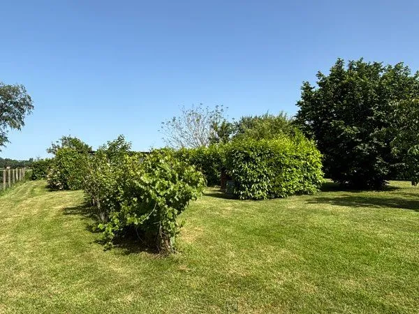Terrain 1100m2