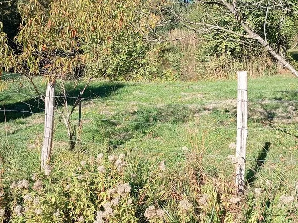Terrain de loisir avec petit coin de peche