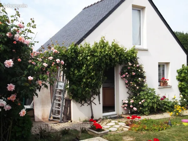 Location 6 mois