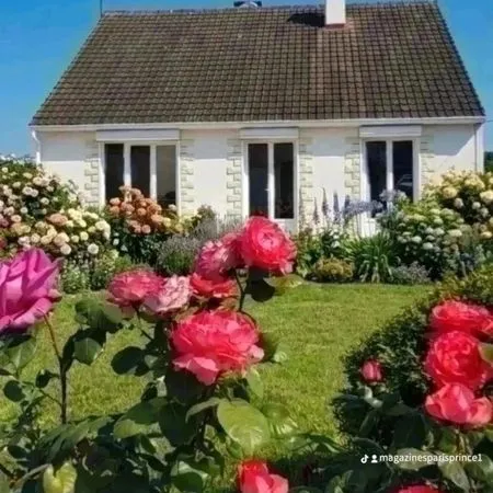 Maison charmante