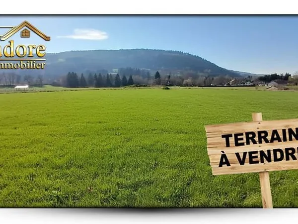 Terrain 6536 m²