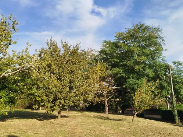 Terrain à bâtir
