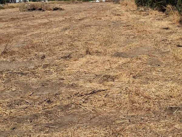 Terrain agricole