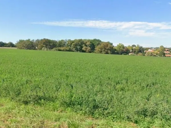 Terrain 1030 m²