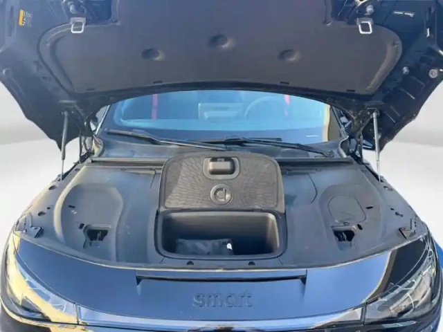 Smart 2 315 kw awd brabus — photo 14