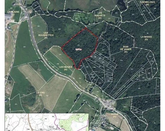Vend terrain boisé