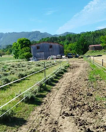Parcelle chevaux loc