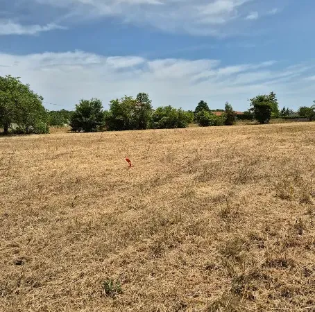 Terrain 843 m²