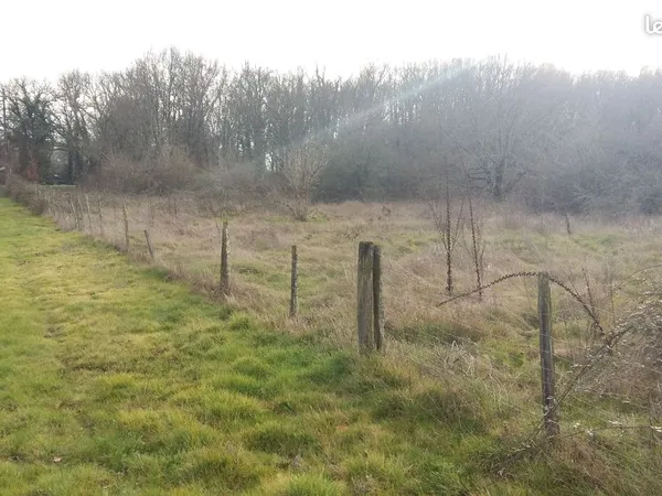 Terrain 9925 m2 à Ménesplet (constructible)