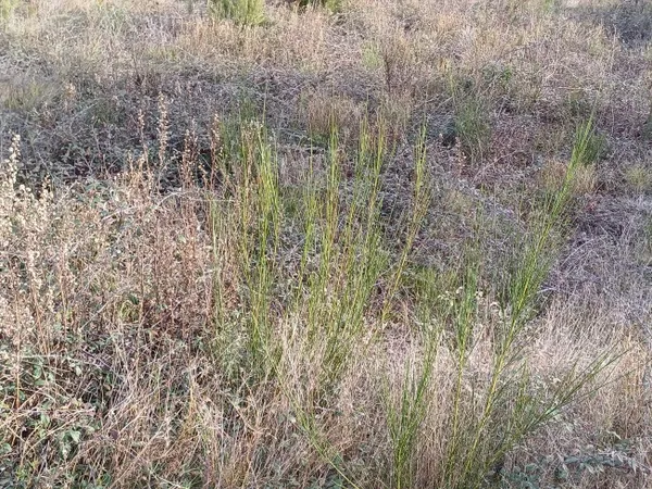 Terrain 614 m²