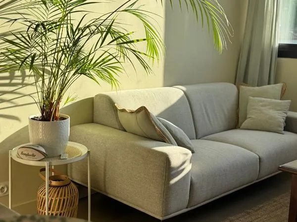 Appartement 2 chambres · 56 m² · Vue mer ·