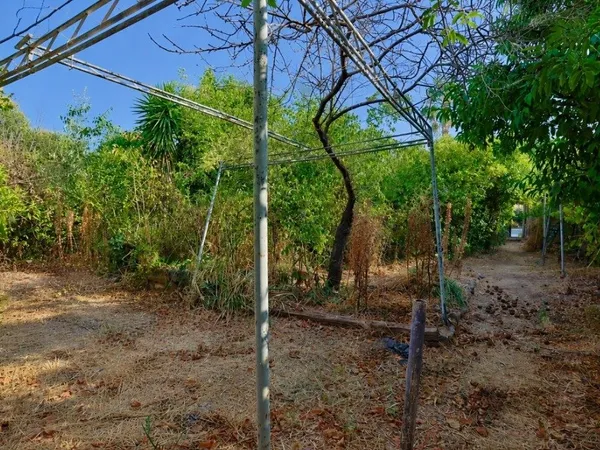 Terrain 184 m²