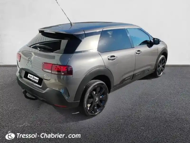 Citroën C4 cactus puretech 110 s&amp;s bvm6 shine — photo 13