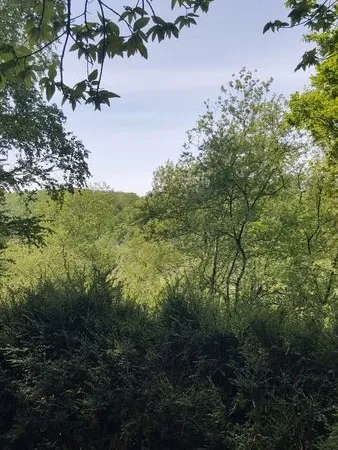 Maison de 18m2 à louer sur Saint-Hilaire-du-Harcouët
