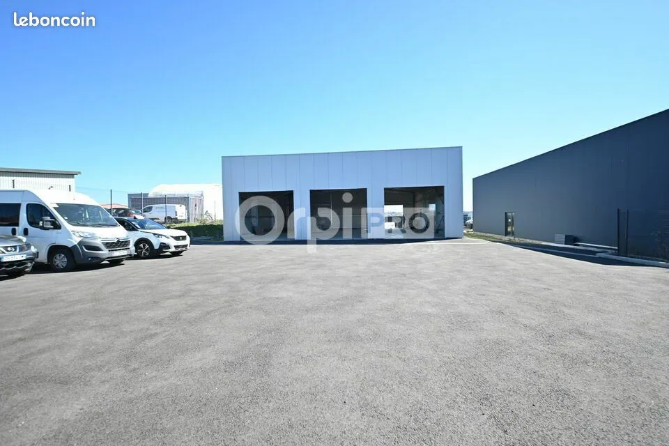Photo 8