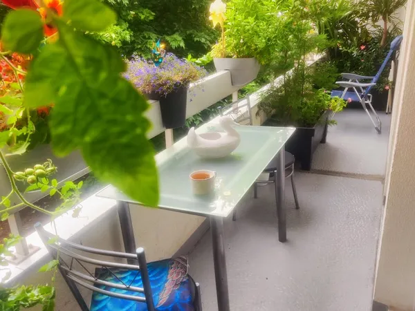 Chambre à louer sur Bordeaux Caudéran