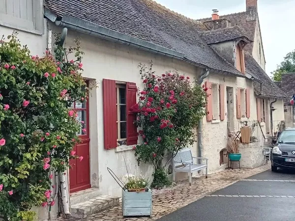 Maison d'artiste 15mn Loches sud Touraine