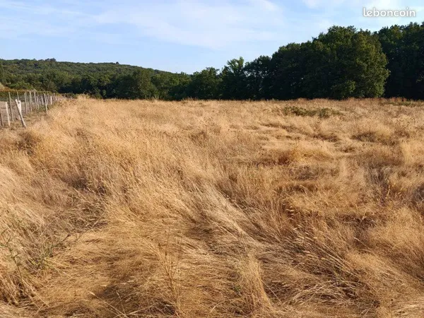 Terrain forêt- prairie