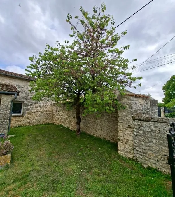 Photo 15