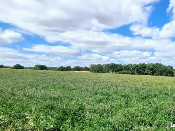 Terrain à bâtir de 800 m² à AUZIELLE (31)