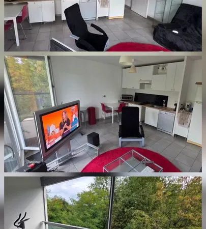Appartement de 45m2 à louer sur Albigny-sur-Saône
