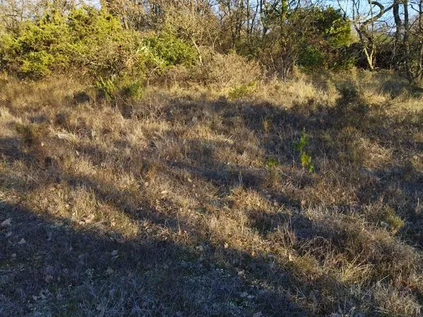 Terrain de loisirs