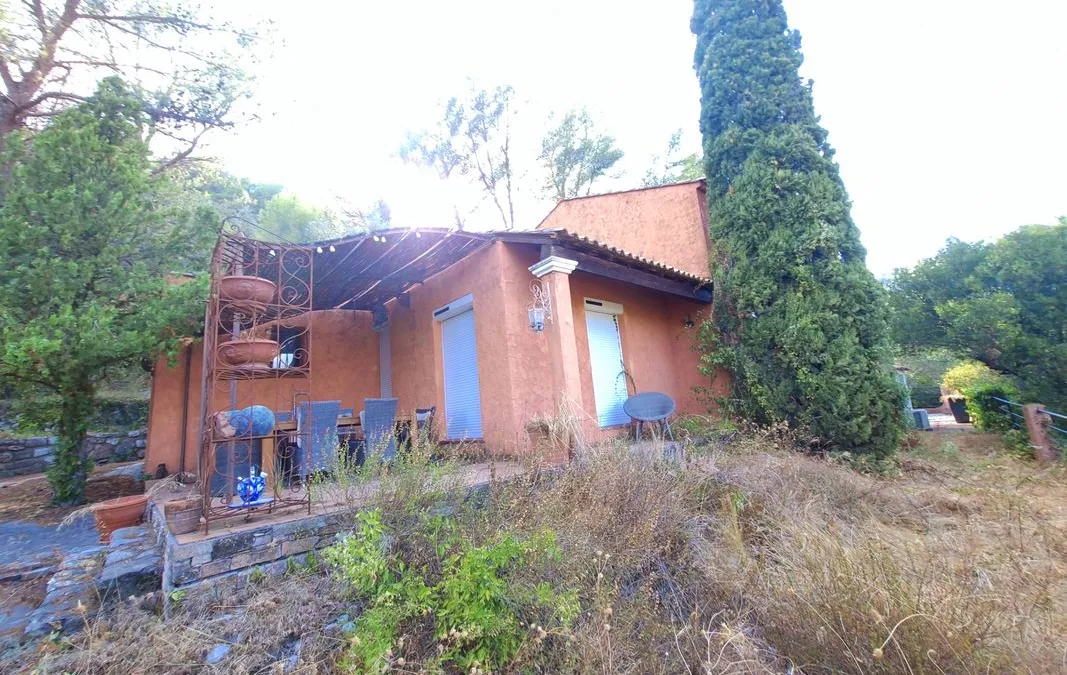 Photo 3