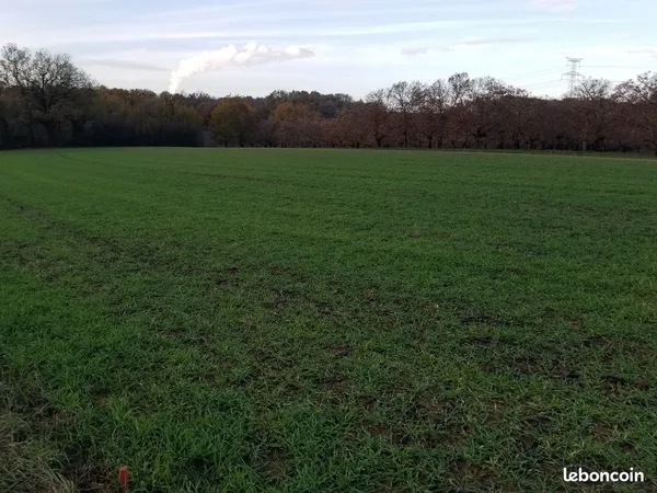 TERRAIN de 2001m2 : voyez plus grand au même prix