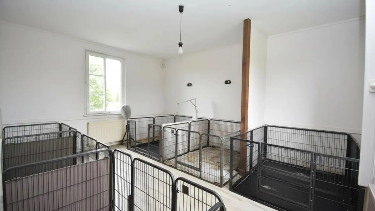 Photo 8