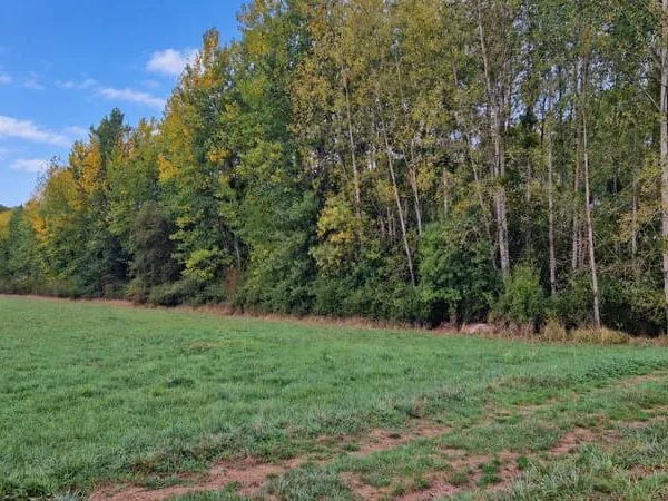 Terrain Saint Quentin Sur Indrois 3000 m2