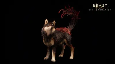 Beast of Reincarnation: quale difficoltà scegliere? I nostri consigli