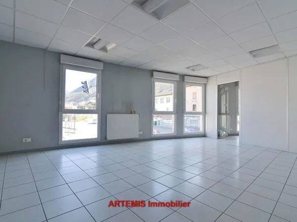 PLATEAU comprenant LOCAL D'ACTIVITE + APPT T2